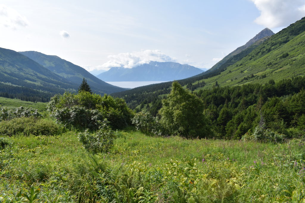 View of Turnagain Arm from Indian Valley, Chugach State Park