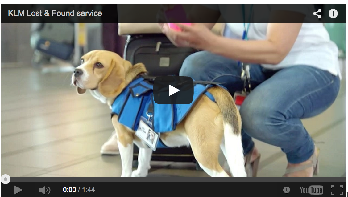 KLM Royal Dutch Airlines: Viral video featuring cute beagle ends in disappointment