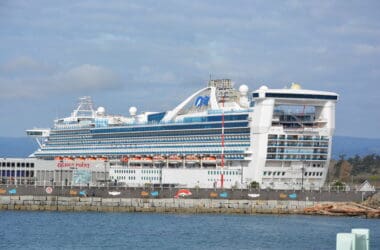 a large cruise ship in the water