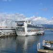 a cruise ship docked at a dock