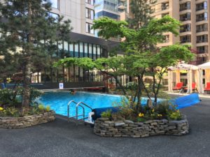 a swimming pool with trees and plants in front of buildings