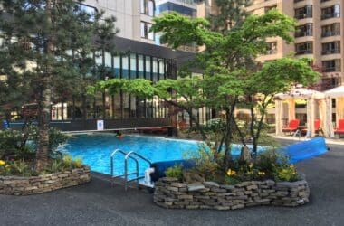 a swimming pool with trees and plants in front of buildings
