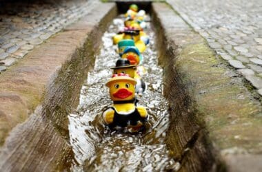 a row of rubber ducks in a canal