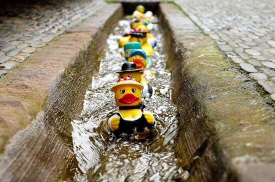 a row of rubber ducks in a canal