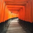 a walkway with orange pillars with Fushimi Inari-taisha in the background