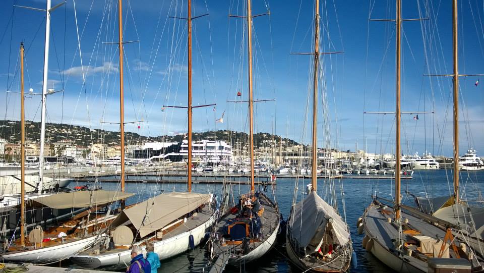 several boats in a harbor