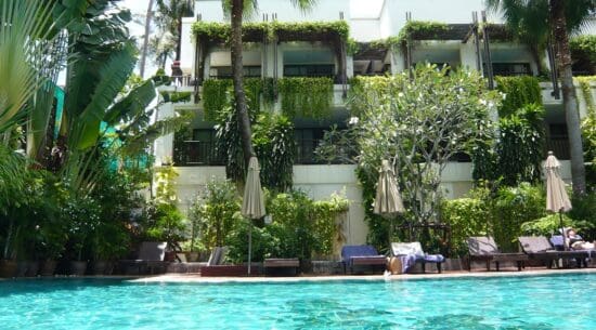 a swimming pool with plants around it