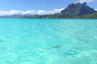 a body of water with a mountain in the background