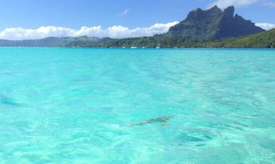 a body of water with a mountain in the background