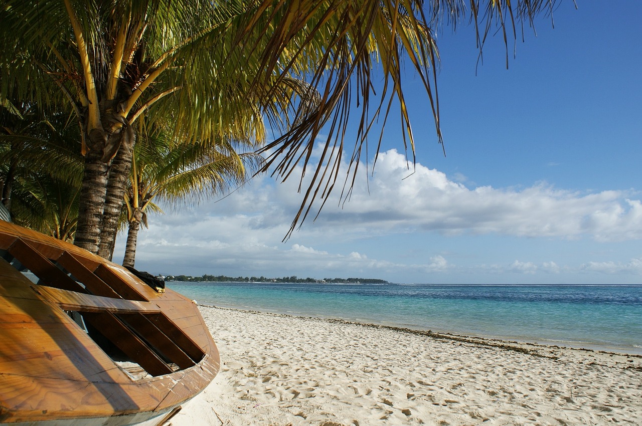 a boat on a beach