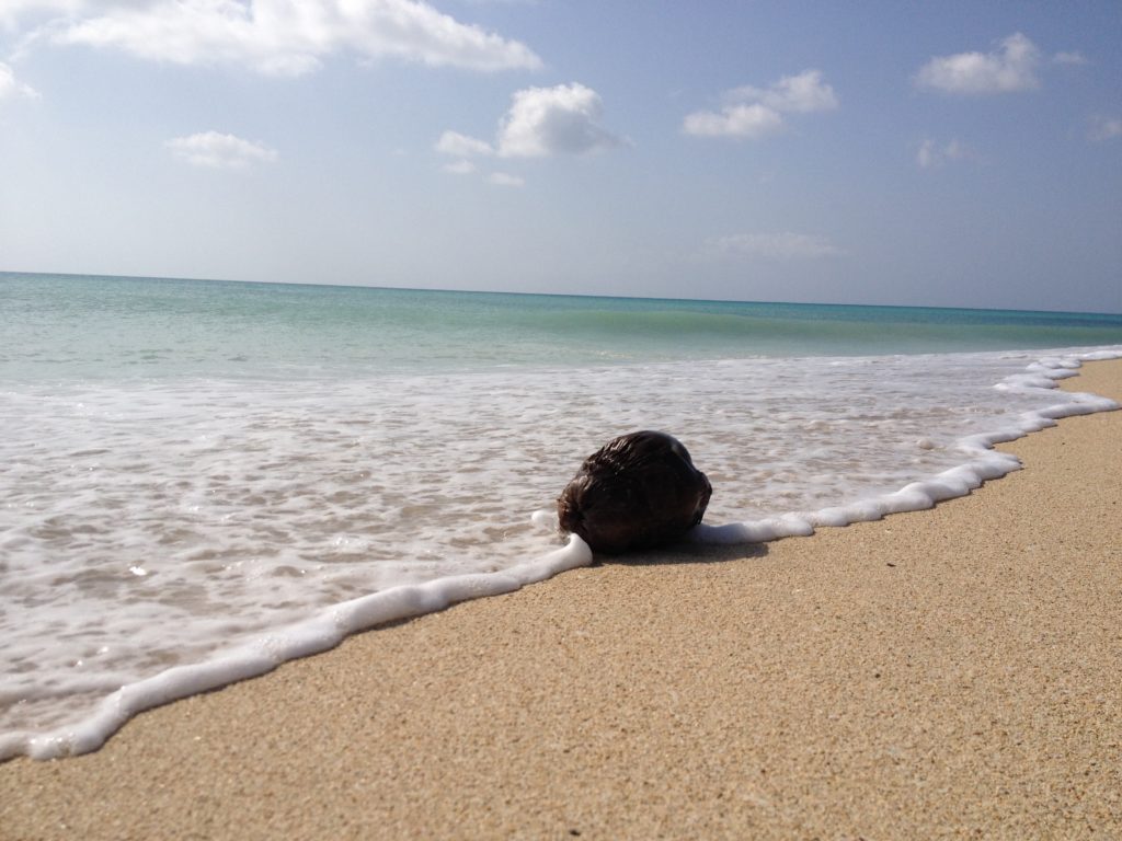 Sandy Point National Beach Preserve