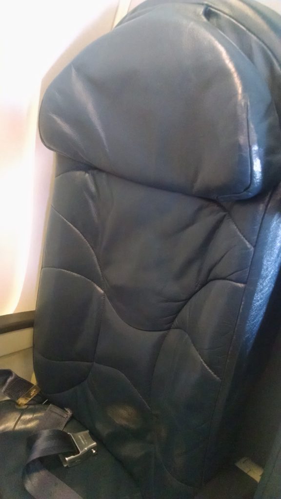 Seat back