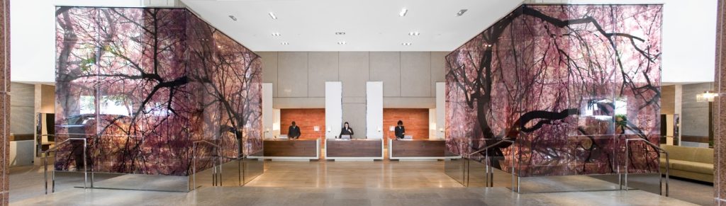 Park Hyatt Washington D.C. Entry