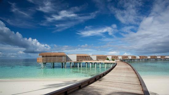 a long wooden walkway leading to a beach