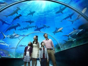 Sentosa Aquarium