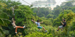 Sentosa megazip