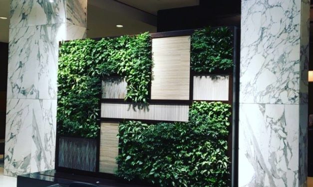 Horizontal Plants at the Westin Baltimore Washington Airport (BWI)