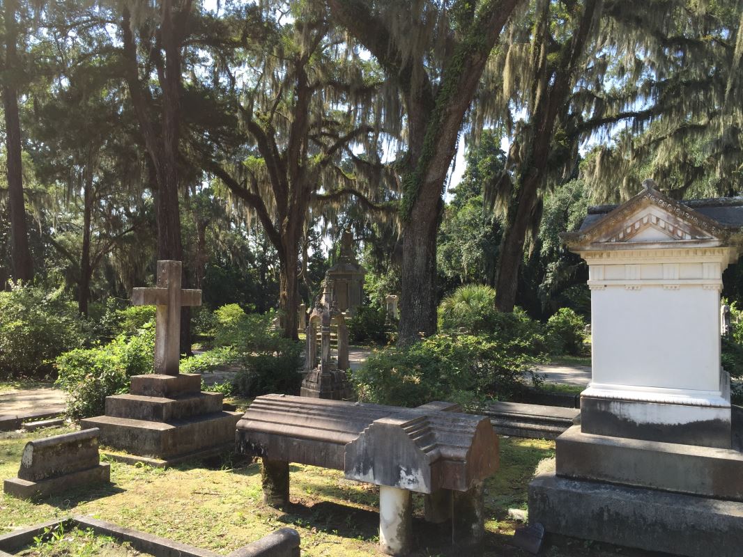 a cemetery with many gravestones and trees