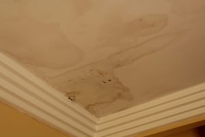 4 Points Water Damage - AYP
