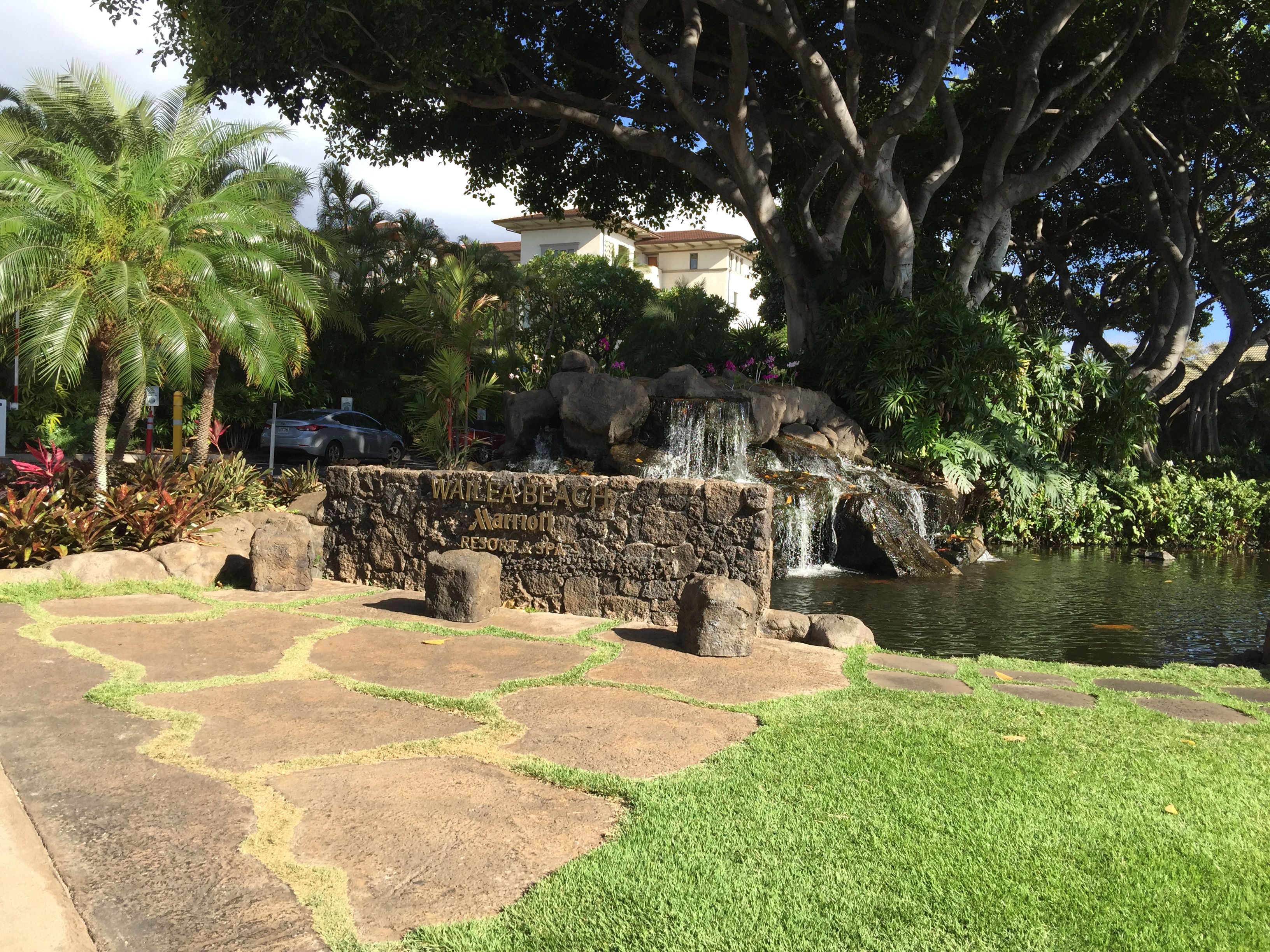 a waterfall in a park