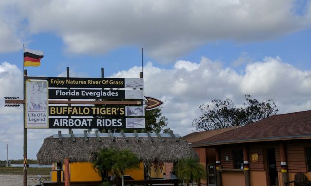 Review- Buffalo Tiger Everglades Airboat Tours Miami