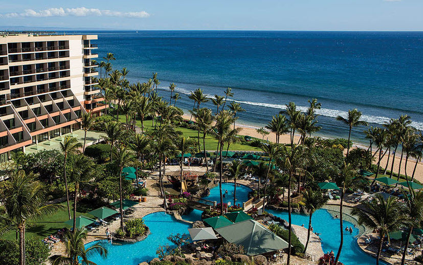 a swimming pool and palm trees next to a beach