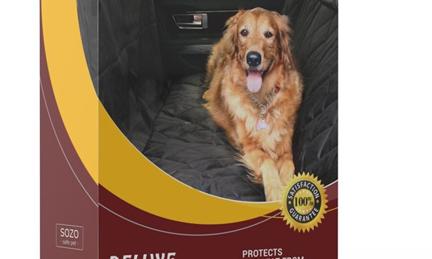 Deluxe Pet Car Seat Cover Now 73% Off from Amazon