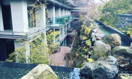 Three Thousand Dollar Hotel Review: Japan Day 5, Ritz-Carlton Kyoto