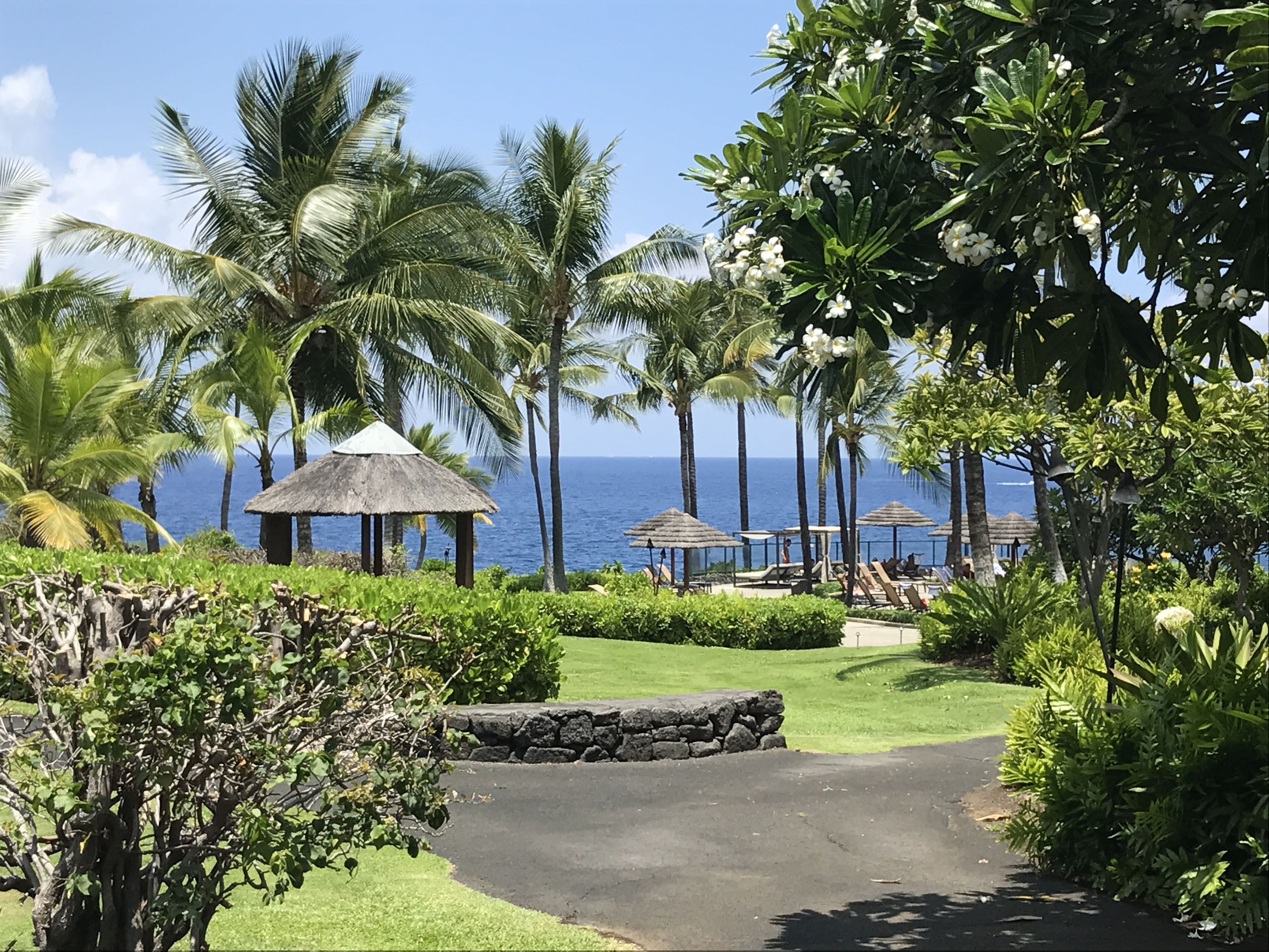 a beach with palm trees and umbrellas