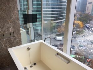 a bathtub in a room with a view of a city