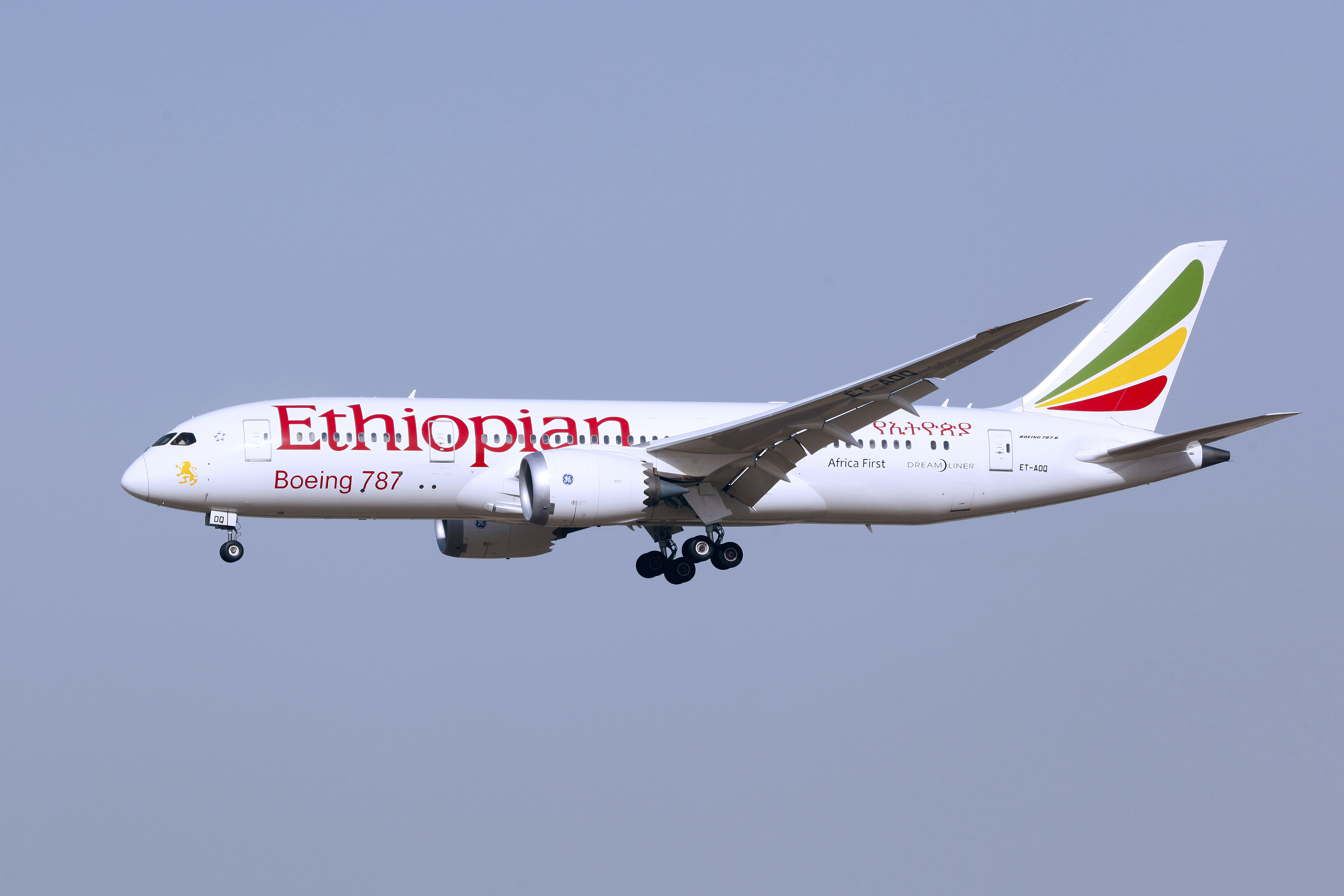 Ethiopian Airlines 787