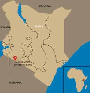 a map of africa with a location pin