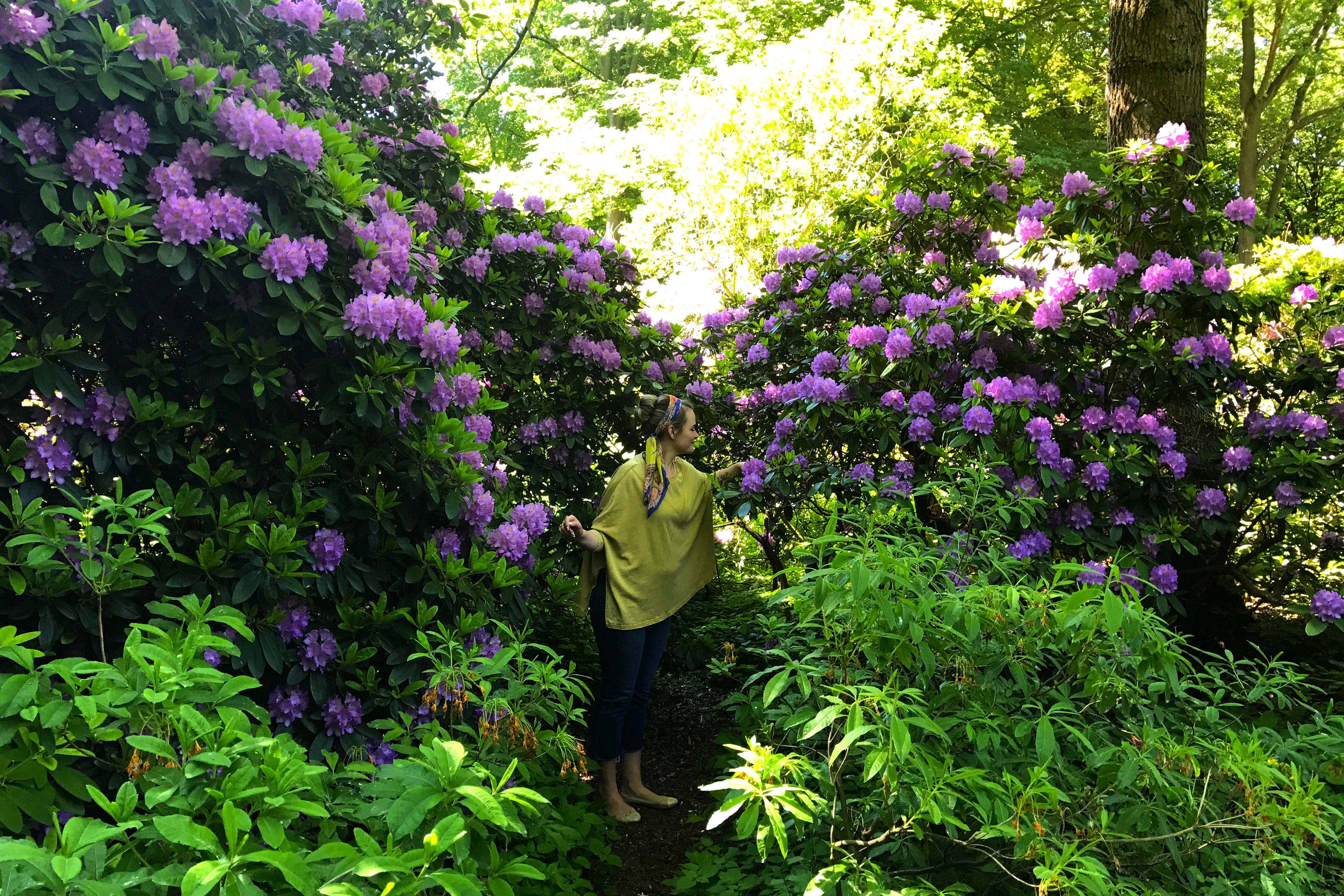 a woman standing in a garden with purple flowers