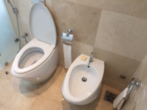 a toilet next to a toilet