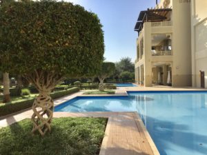 a pool with a tree in the middle