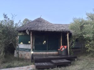 a building with a thatched roof