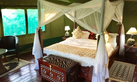 Glamping Review: Osero Lodge