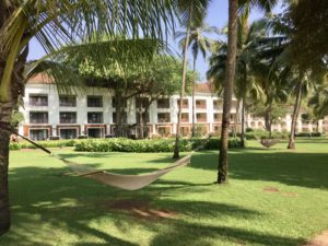 hammocks in a grassy area with palm trees and a building in the background