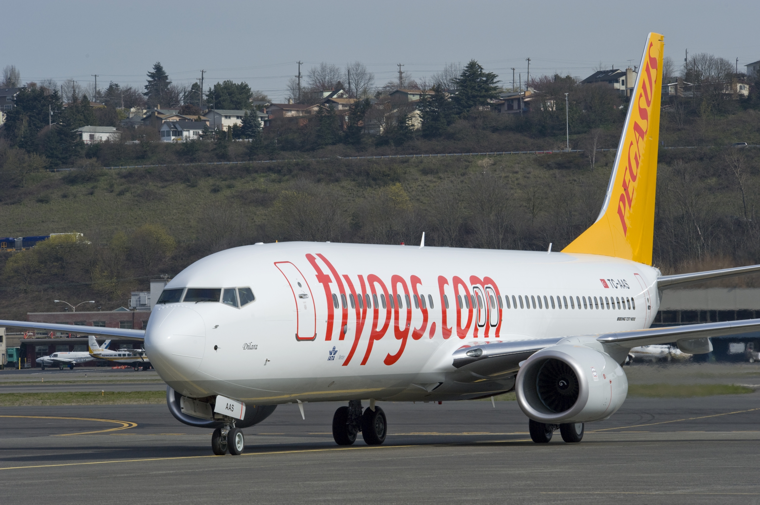 A Pegasus Airlines Boeing 737-800 like the one involved in the incident (Image: Pegasus Airlines)