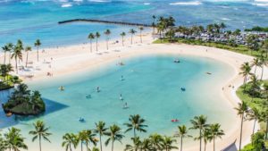 a beach with palm trees and a body of water