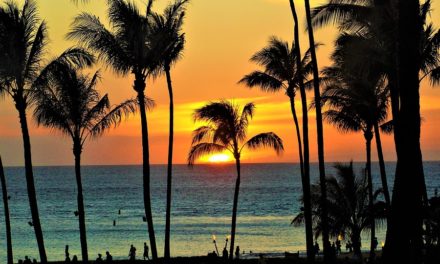 Hawaiian Airlines Launches Honolulu to Long Beach Service, Other Routes!