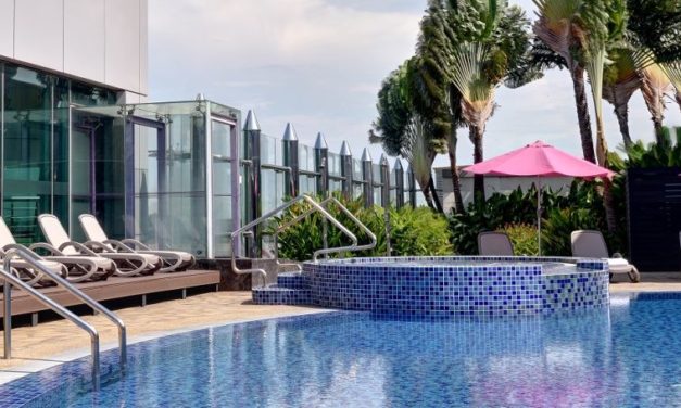 Go swimming or enjoy the cactus in transit in Singapore