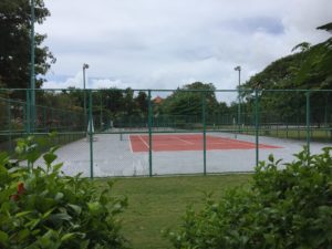 a tennis court with trees and bushes