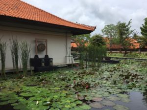 a pond with lily pads and a building with a roof