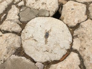 a close up of a stone