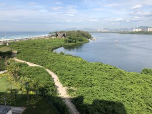 a path leading to a body of water