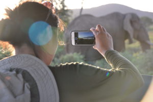 a woman taking a picture of an elephant