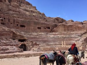 a group of donkeys in front of a large rock formation with Petra in the background