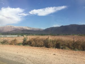 a dirt road with a field of grass and mountains in the background