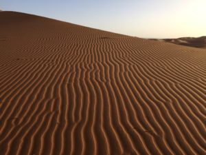 a sand dune with ripples